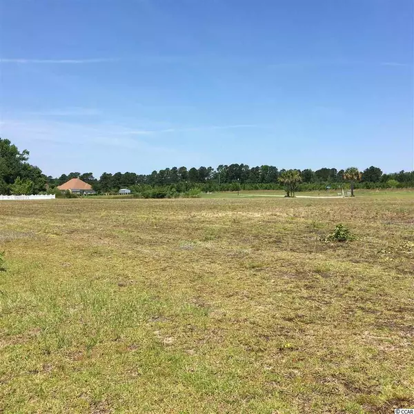 Johnsonville, SC 29555,526 Mingo Trail