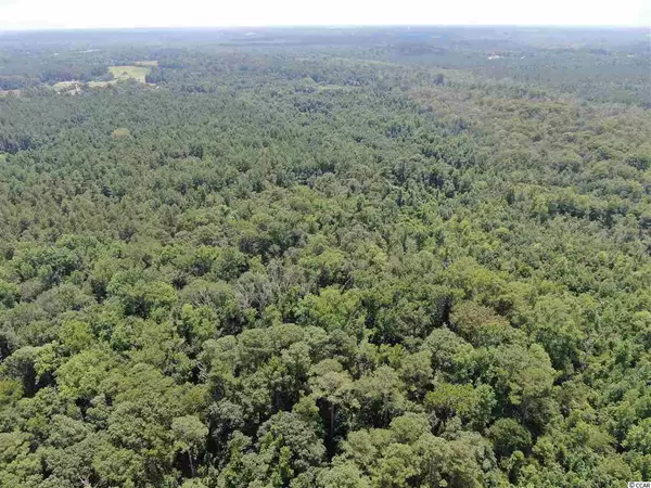 Hamer, SC 29547,tbd Oakland Ave.