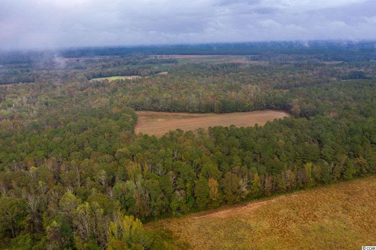 Hemingway, SC 29554,63 Acres Hanna Loop Rd.