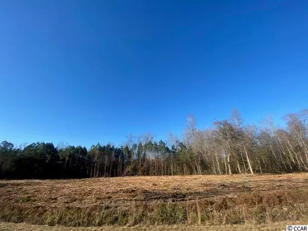 Galivants Ferry, SC 29544,TBD Highway 712