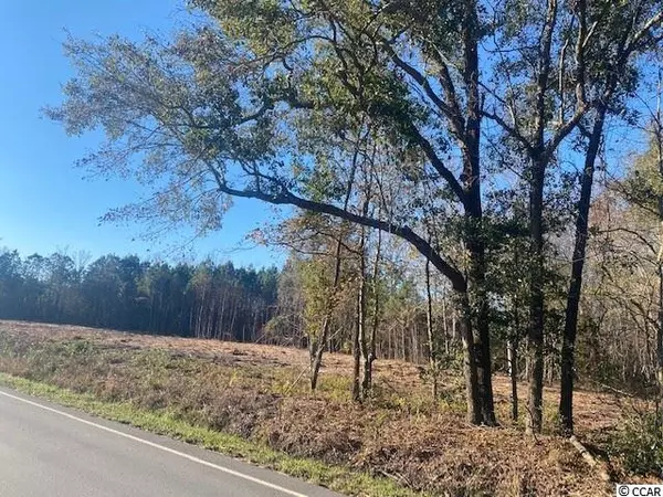 Galivants Ferry, SC 29544,TBD Highway 712