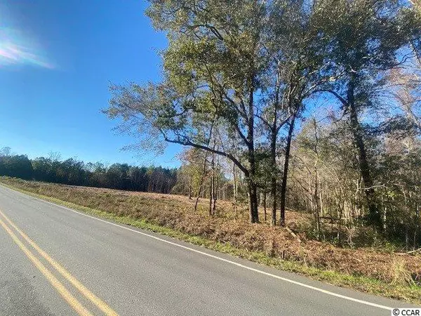Galivants Ferry, SC 29544,TBD Highway 712