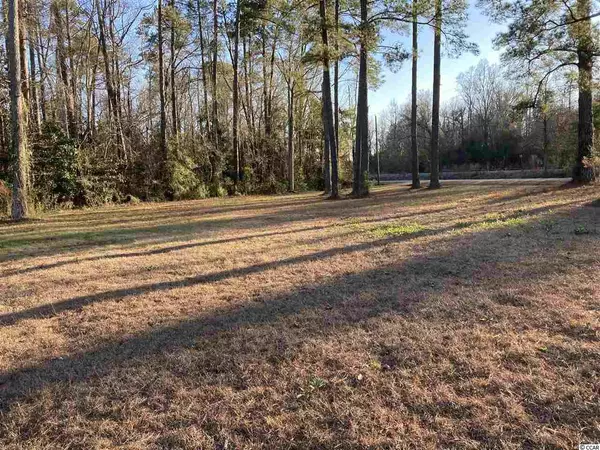 Hemingway, SC 29554,1 Morris Circle