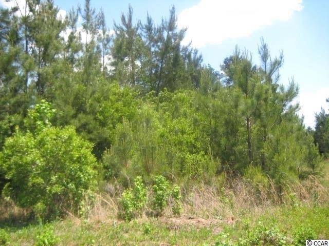 TBD Guide Rd.,  Tabor City,  NC 28463