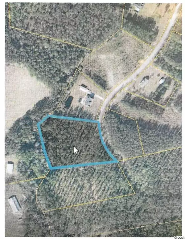 TBD Wilderness Ln., Loris, SC 29569