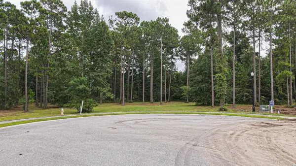 1001 Wigeon Dr., Conway, SC 29526