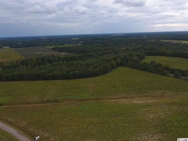 Tract 3-A Brayboy Rd., Rowland, NC 28383