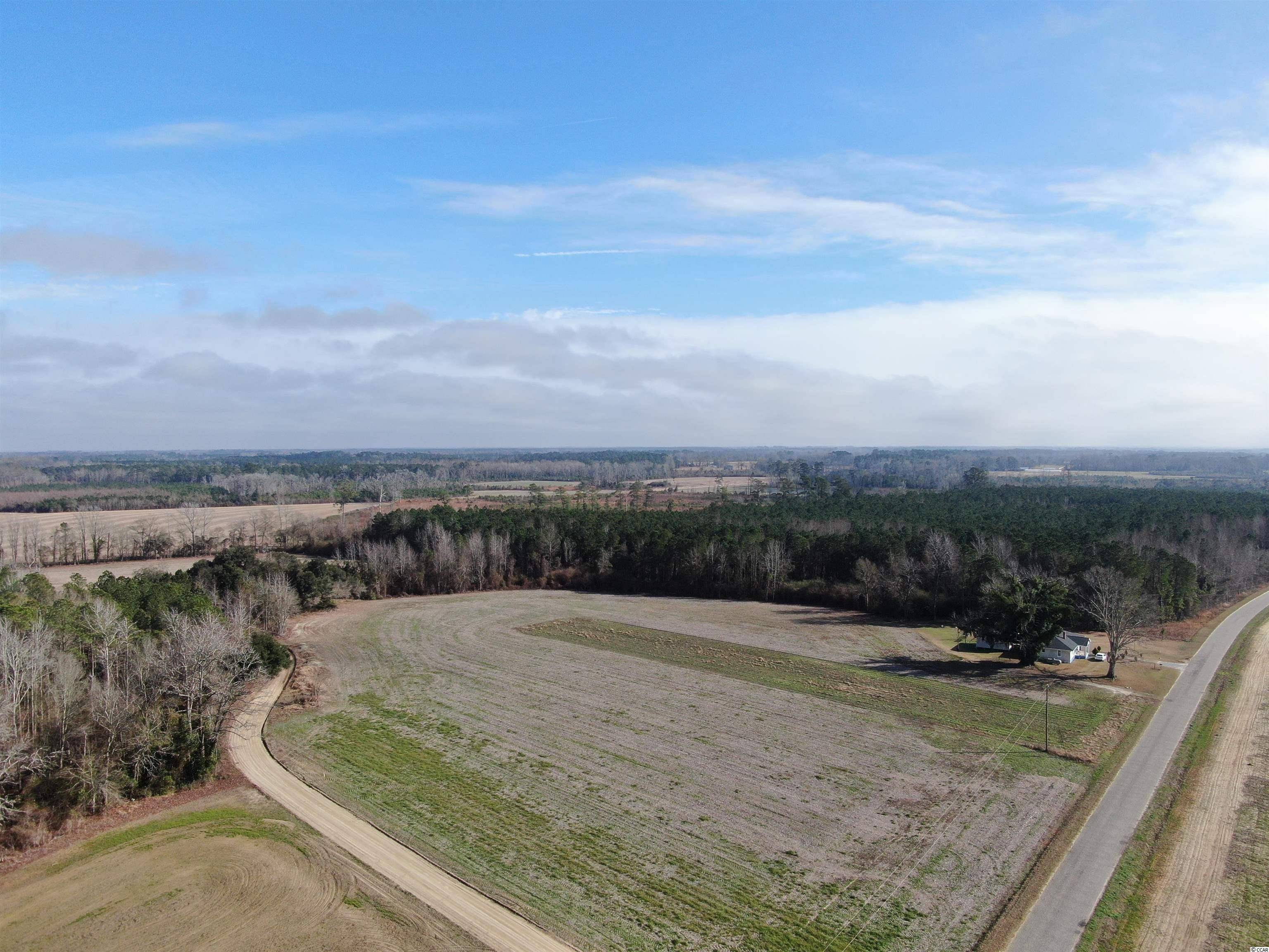 TBD Oliver Rd., Dillon, SC 29536