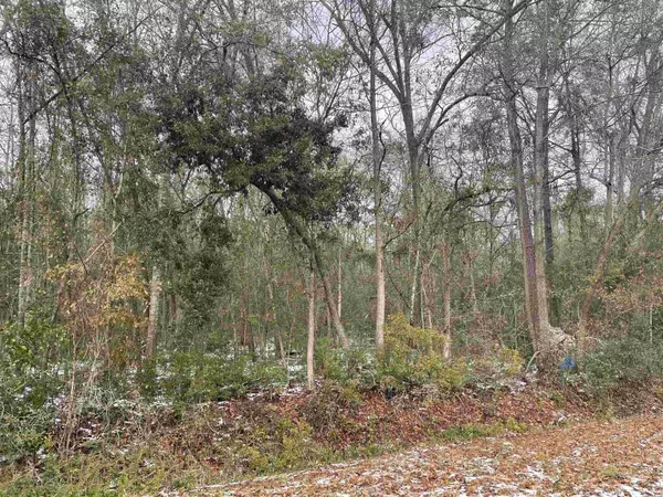 TBT Evans St., Kingstree, SC 29556