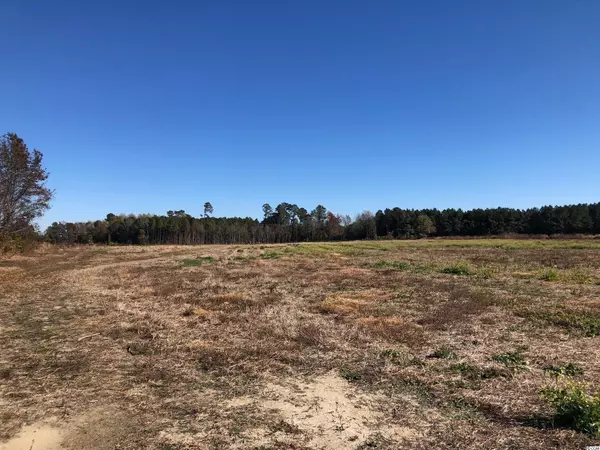 Green Sea, SC 29545,tbd Fairbluff Rd.