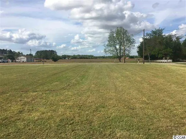 TBD E George St., Hemingway, SC 29554