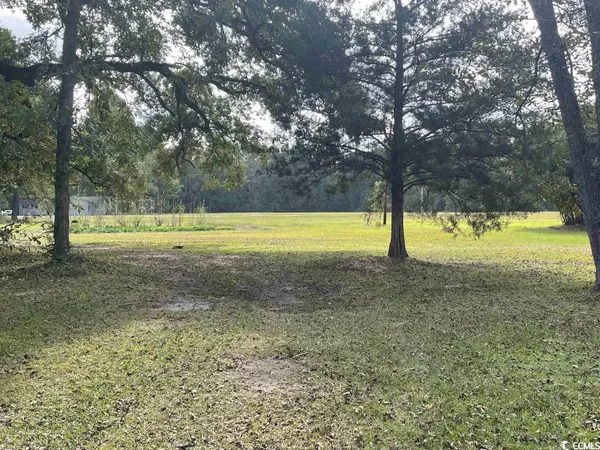 Tbd C E Murray Blvd., Greeleyville, SC 29056