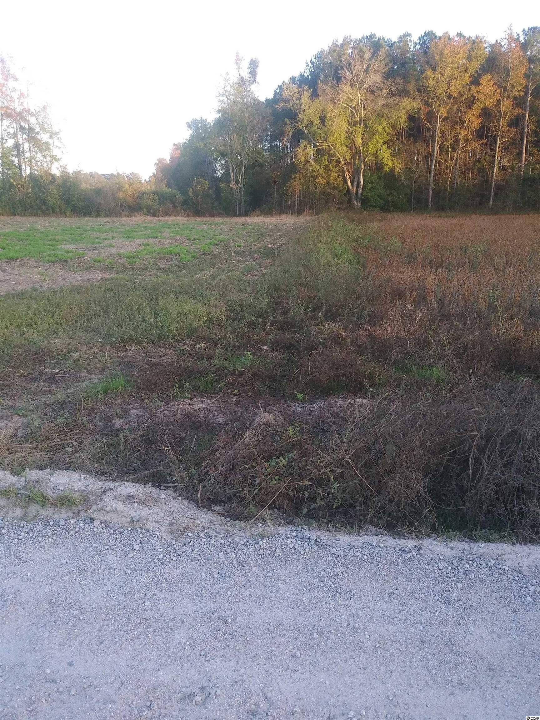 Lot 1 Miller Rd., Mullins, SC 29574