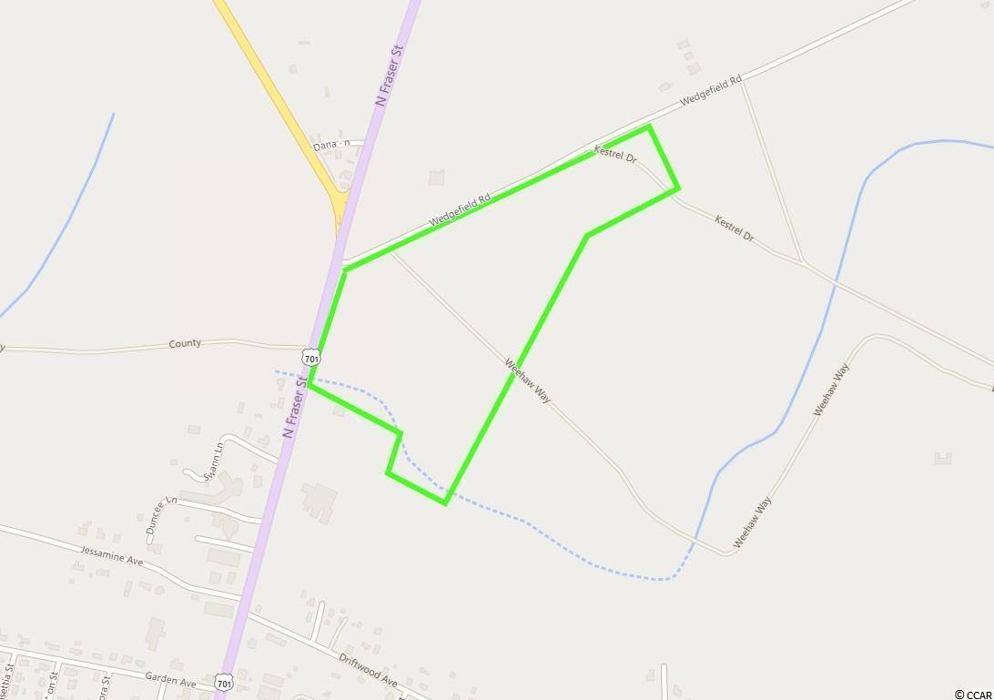 Georgetown, SC 29440,TBD Weehaw Plantation Dr.