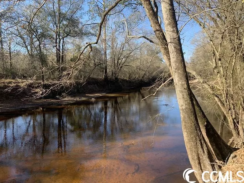 Buelaville, NC 28518,0 Durwood Evans Rd.