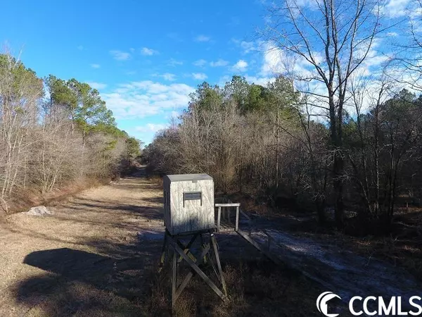 Buelaville, NC 28518,0 Durwood Evans Rd.