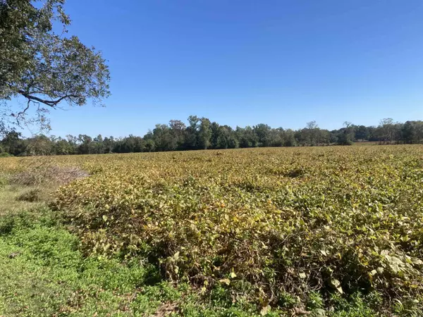 TBD Tract A N Bethel Rd., Scranton, SC 29591