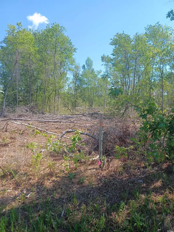 Tract 1 Luck Rd., Nichols, SC 29581