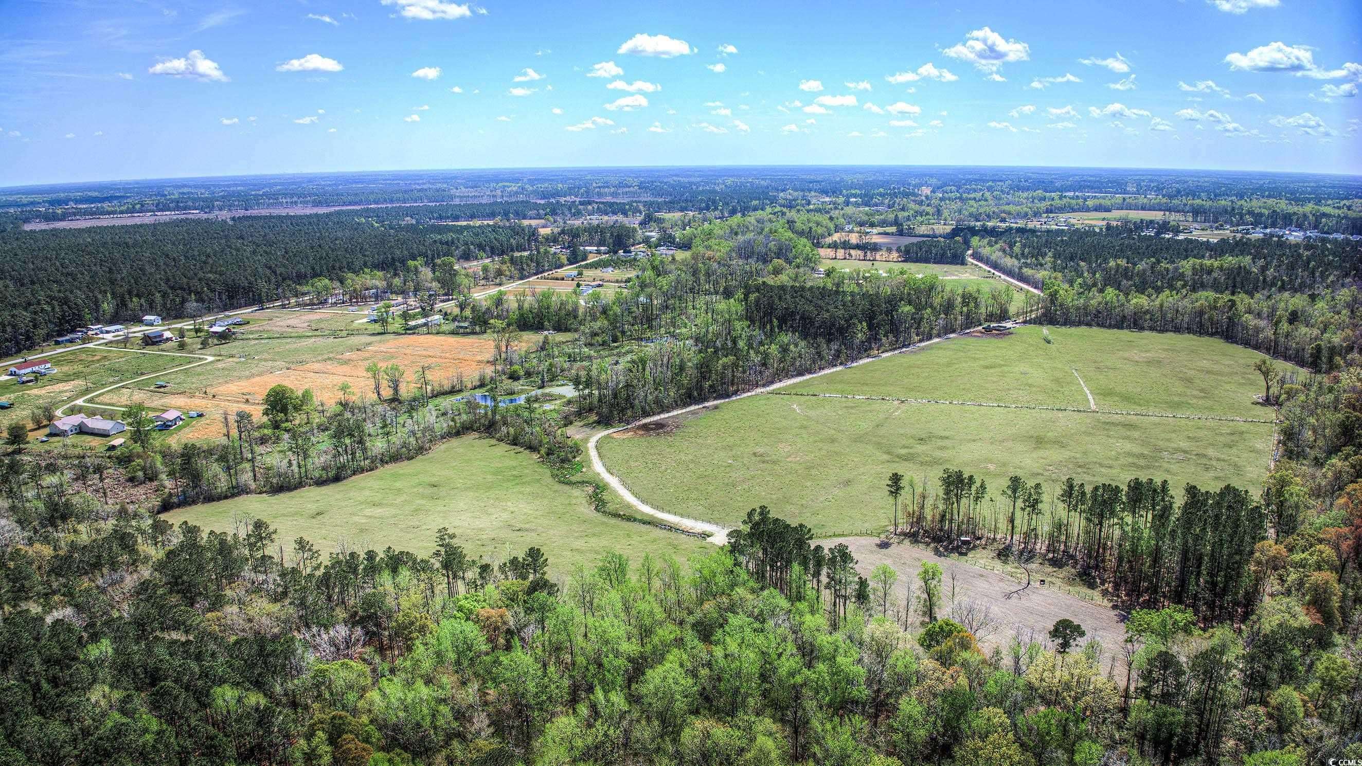 Conway, SC 29526,TBD Roleighn Rd.