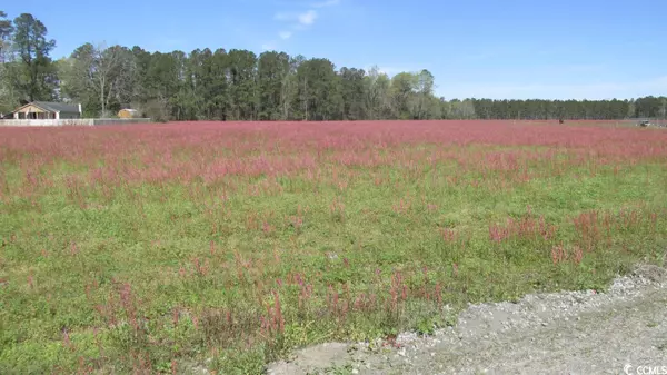 Pamplico, SC 29583,TBD Mustang Ln.