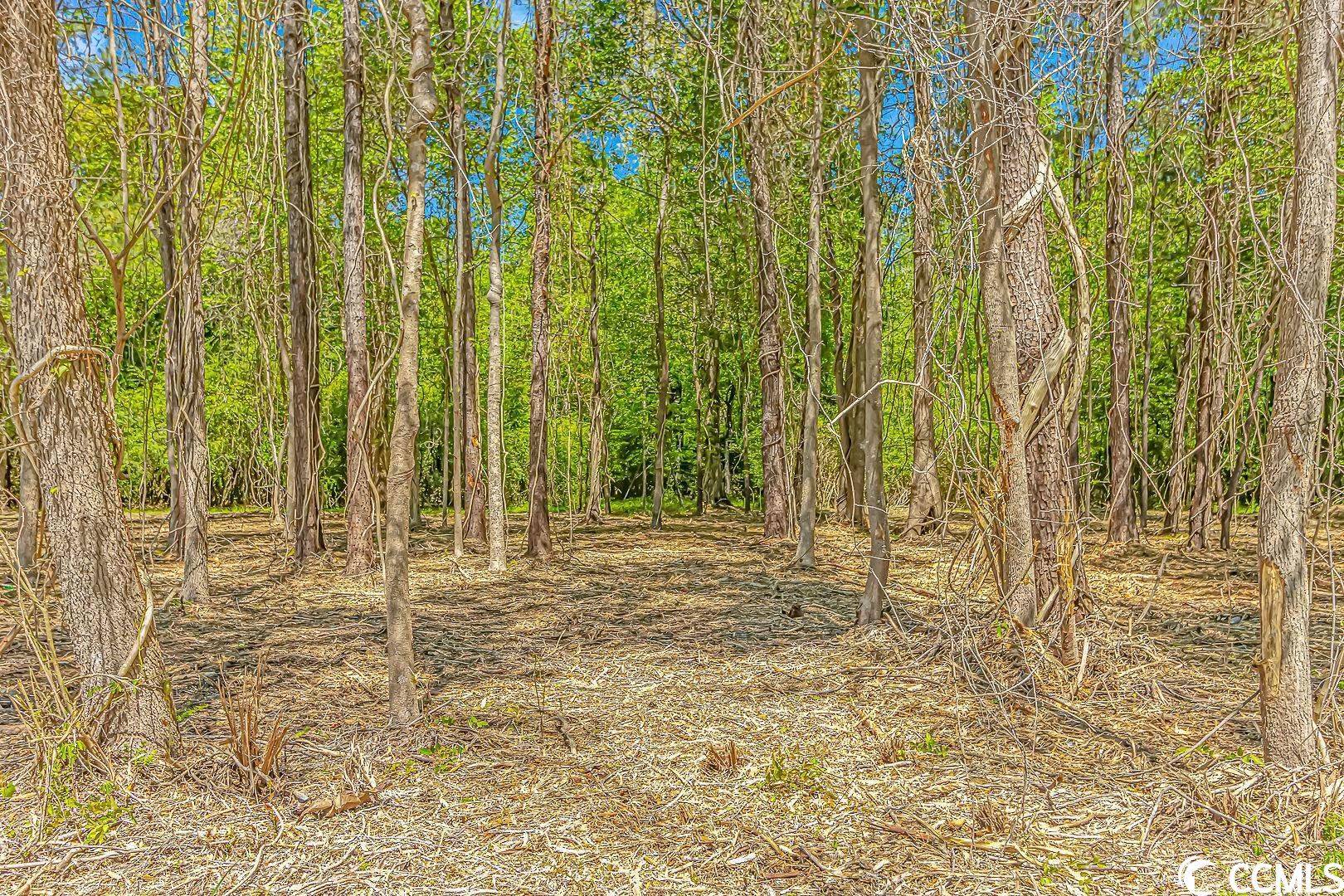 Conway, SC 29527,TBD Tranquil Rd.