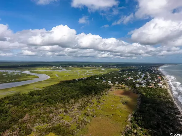 Georgetown, SC 29440,Lot 42 Whiting Ln.