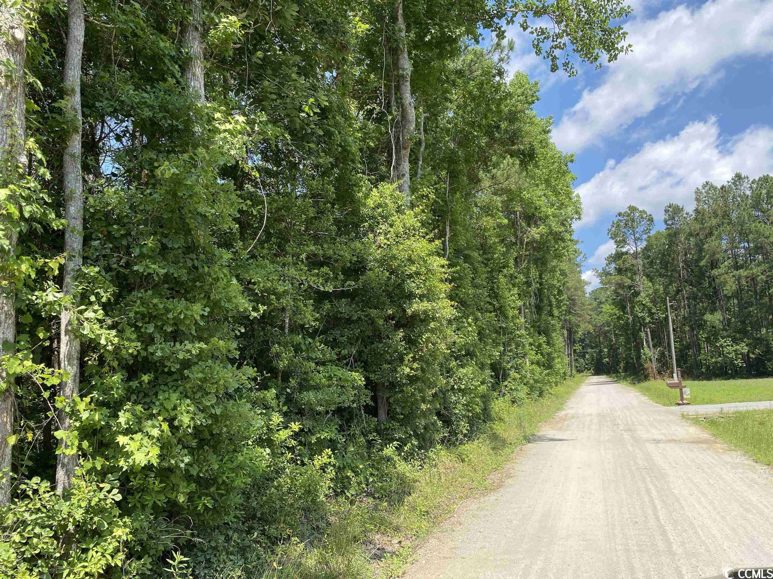 Conway, SC 29526,Lot 1 Dukes Rd.