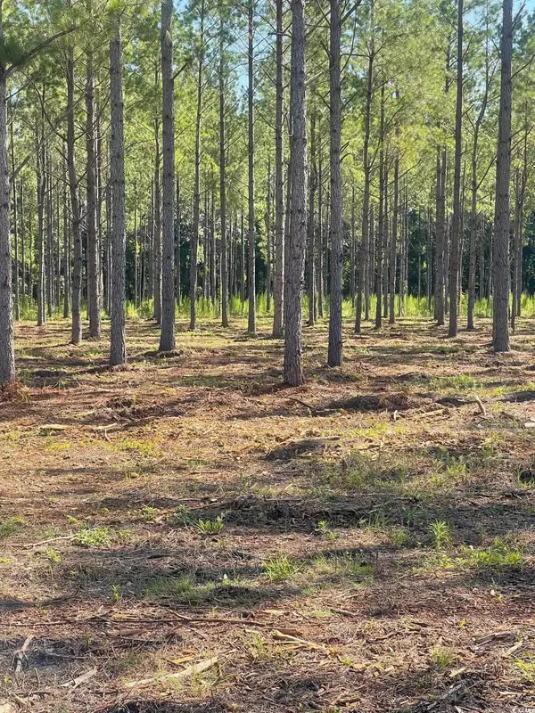 Nichols, SC 29581,TBD Coventry Rd.