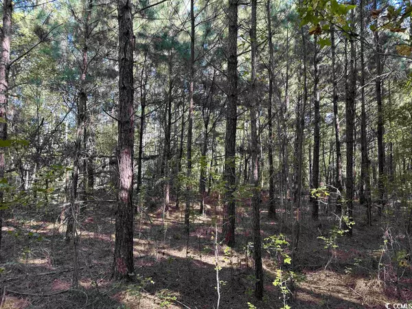 TBD Verlie Dr., Cades, SC 29518
