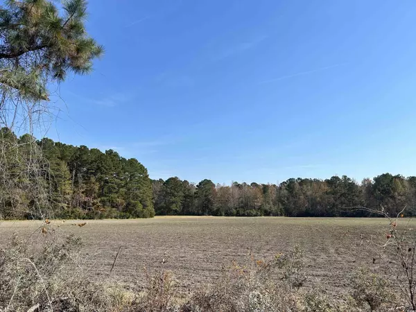 Mullins, SC 29574,TBD Deerview Ct.