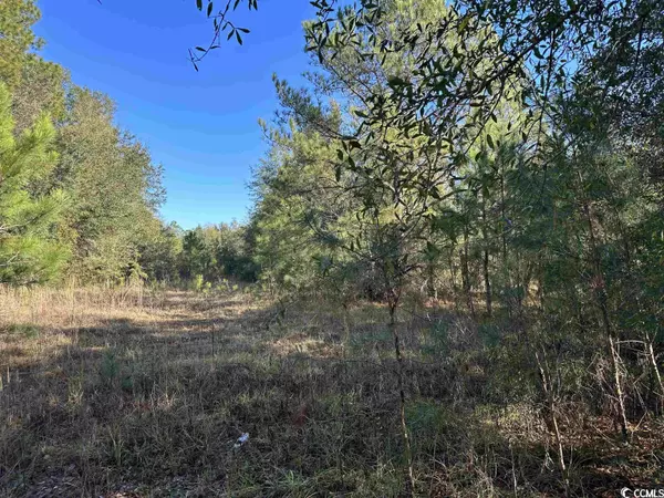 TBD Heller St., Kingstree, SC 29556