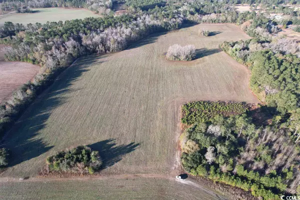 TBD Golf Rd Ext, Greeleyville, SC 29056
