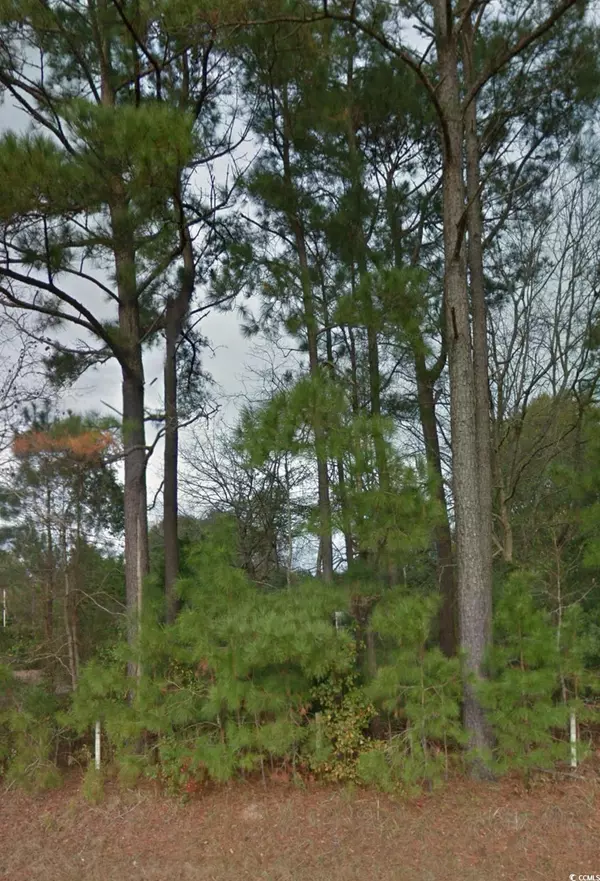 Bolivia, NC 28422,tbd SE McKay Rd SE