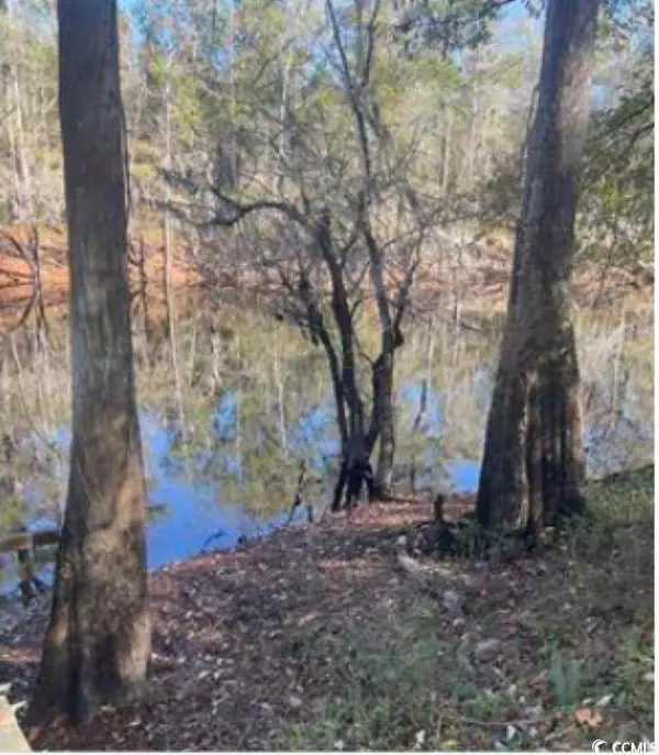 TBD Lot # 3 Sto Old Camp Rd., Salters, SC 29590
