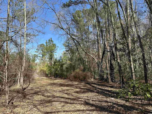 Greeleyville, SC 29056,TBD Spamm Rd.