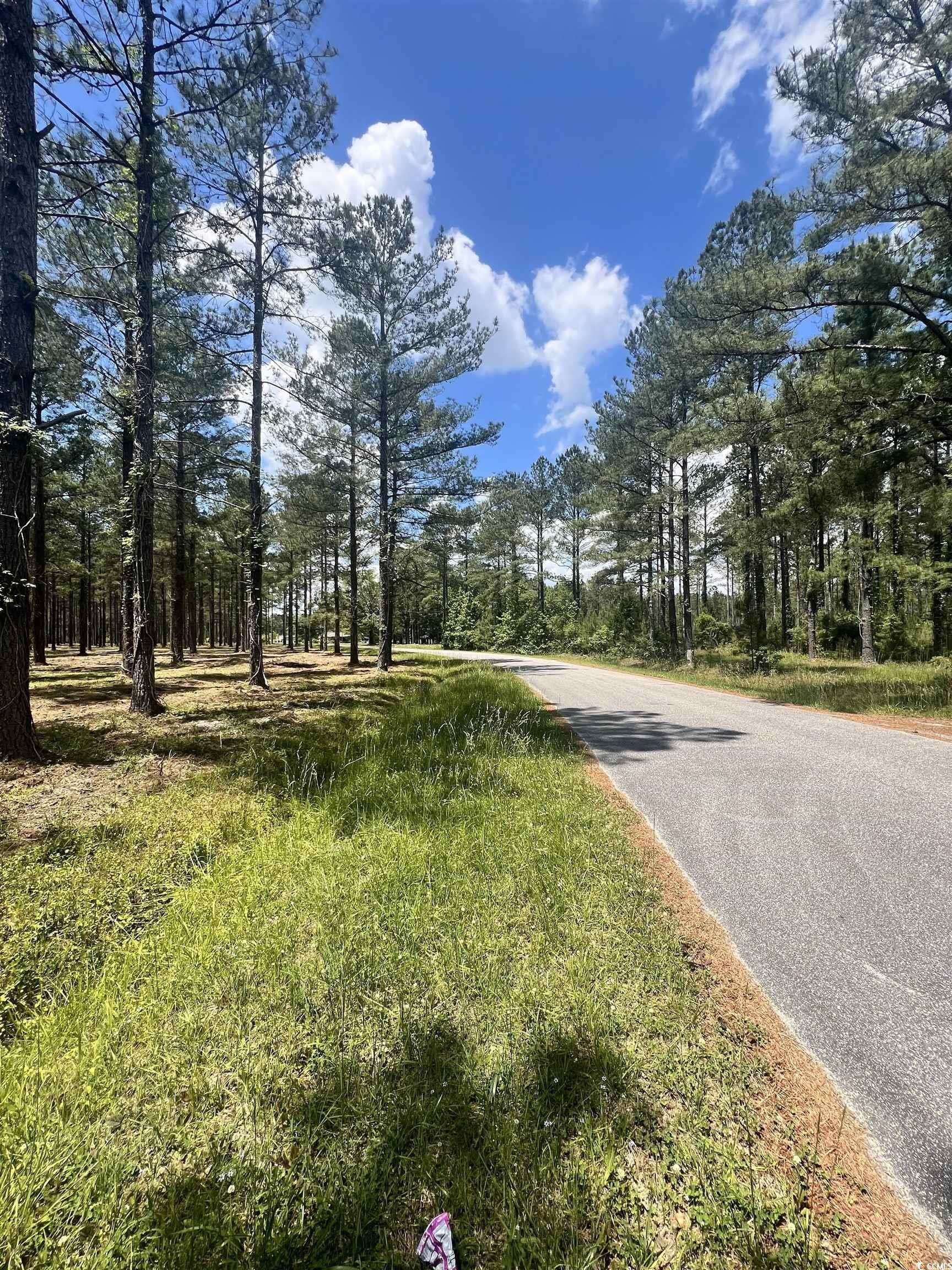 Conway, SC 29526,Lot 3 Ashley Circle