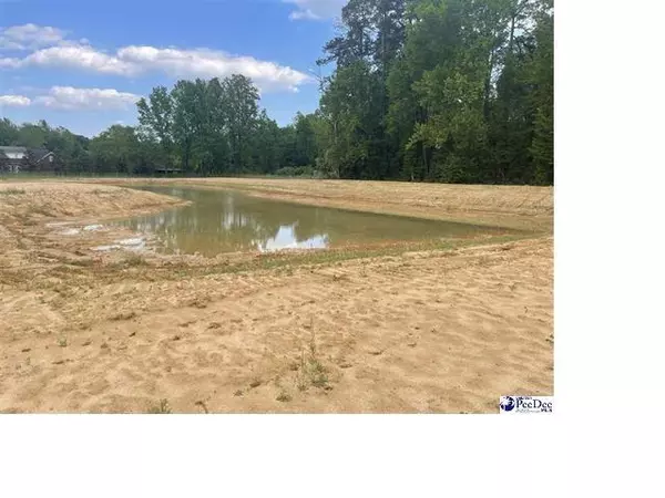 TBD Devonshire Ln., Lake City, SC 29560
