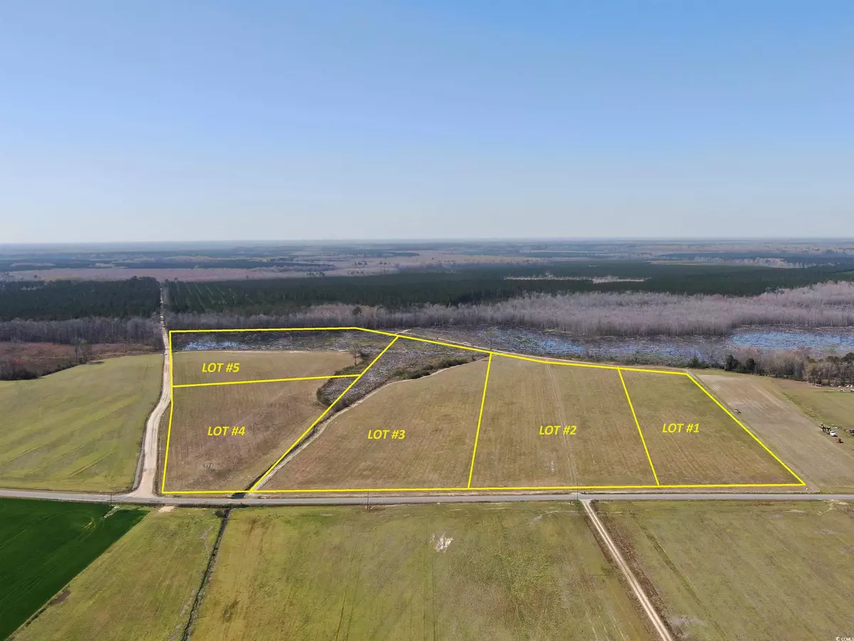 Sellers, SC 29592,TBD Gum Swamp Rd.