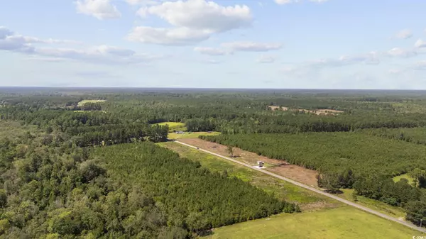Nichols, SC 29581,Lot 1 Black Creek Rd.