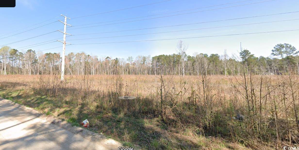 Loris, SC 29569,TBD X Old Forest Dr.