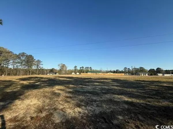 Latta, SC 29565,Lot J Lexyryan Ct.