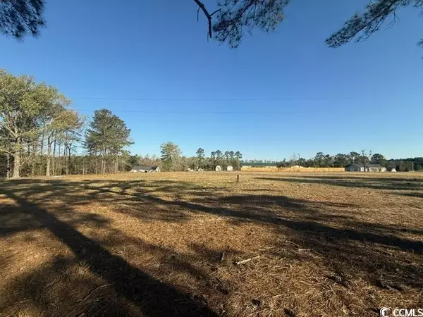 Latta, SC 29565,Lot J Lexyryan Ct.