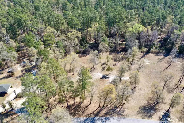 Nichols, SC 29581,TBD Nichols St.