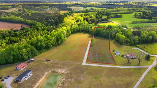 Johnsonville, SC 29555,TBD Sheila Dr.