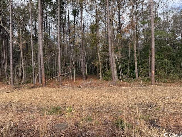 Conway, SC 29527,6.58 Acs Kates Bay Hwy.