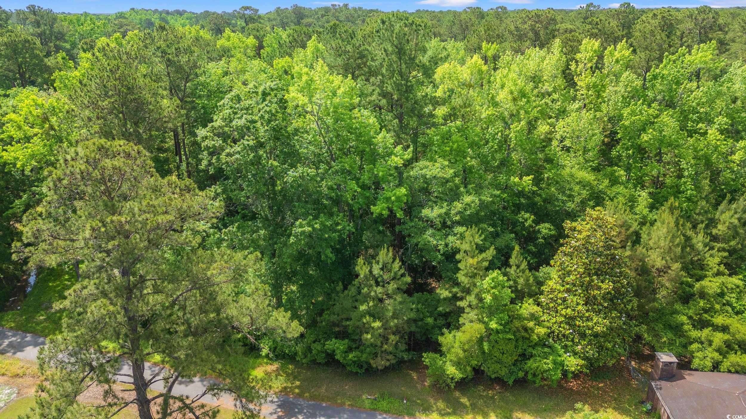 TBD Duncan Ln., Conway, SC 29527