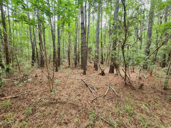 Georgetown, SC 29440,TBD Thatchpalm Ct.