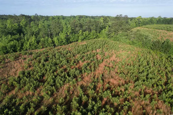 Hemingway, SC 29554,7 Acres-TBD Old Pee Dee Rd.