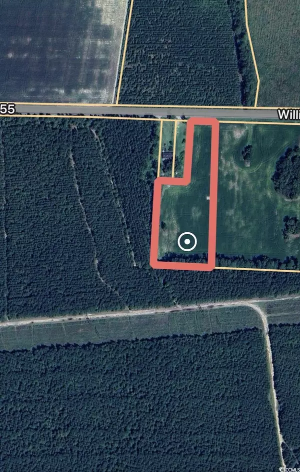 Hemingway, SC 29554,TBD Williams Hill Rd.