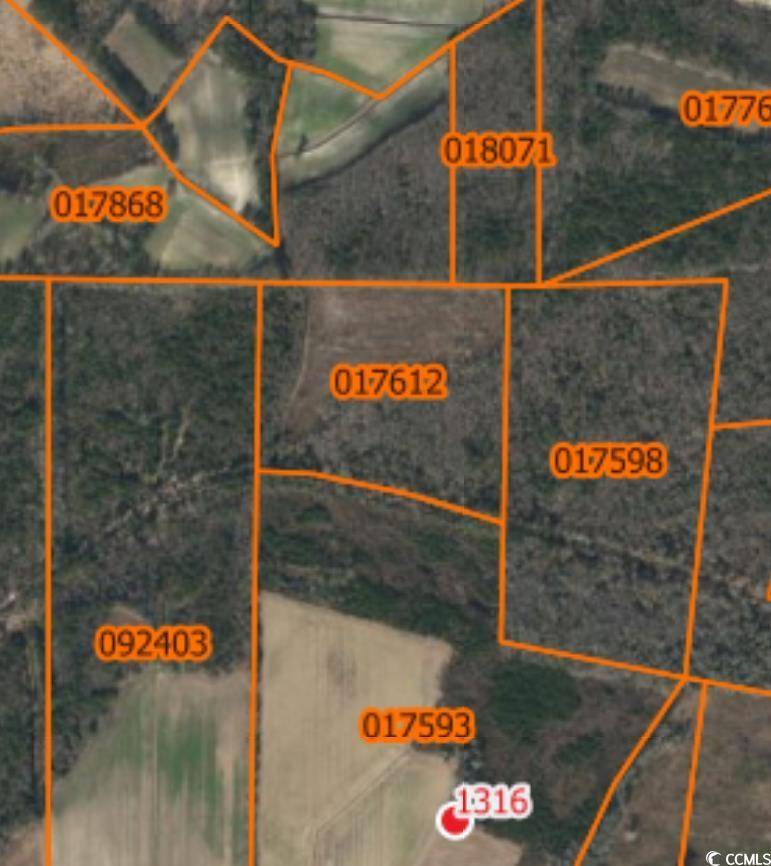 TBD Swamp Fox Hwy. W, NC 28439